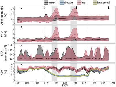 Heat Waves Alter Carbon Allocation and Increase Mortality of Aleppo Pine Under Dry Conditions